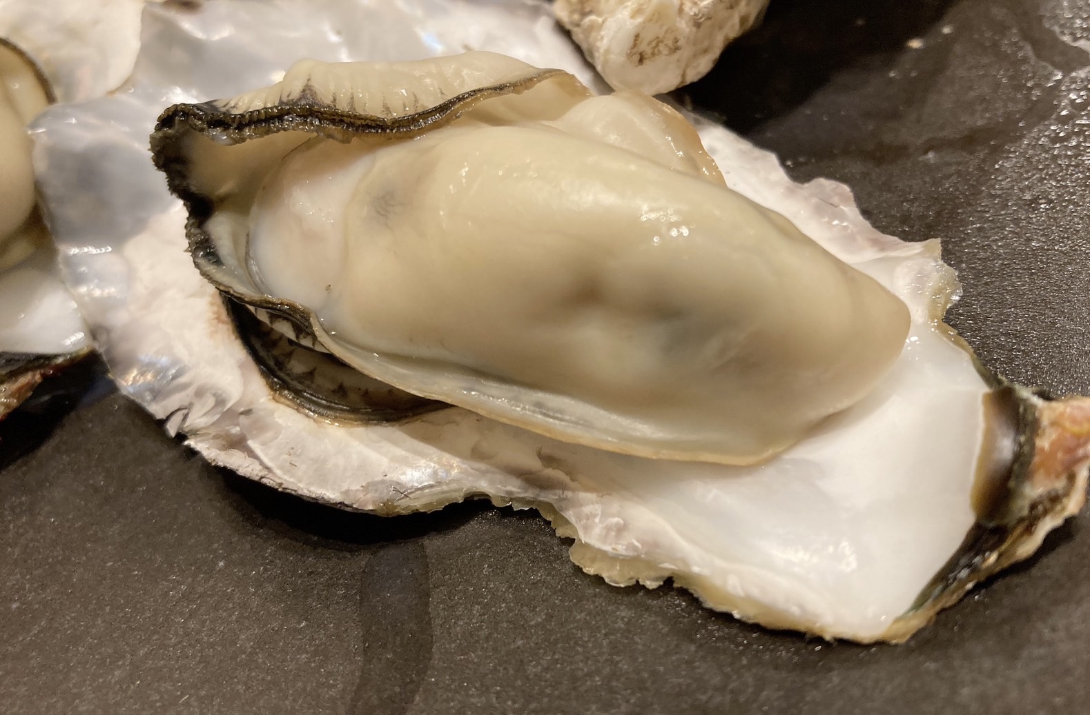 殻付活牡蠣カンカン焼セット3kg(加熱用)（予約受付中：旬にお届け！2025年12月中旬頃から期間限定出荷！）【H-1】