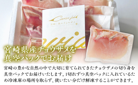 宮崎県産チョウザメの切り身70g×8パックセット 国産 宮崎県産 チョウザメ 切り身 切身 70g 8パック 高タンパク質 タンパク質 魚 冷凍 小分け パック 真空パック 唐揚げ ガーリックソテー