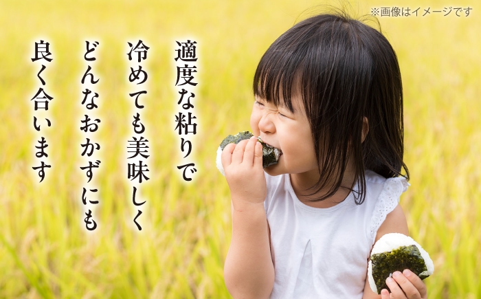 新米 産地直送 精米 国産 おすすめ 人気 10kg