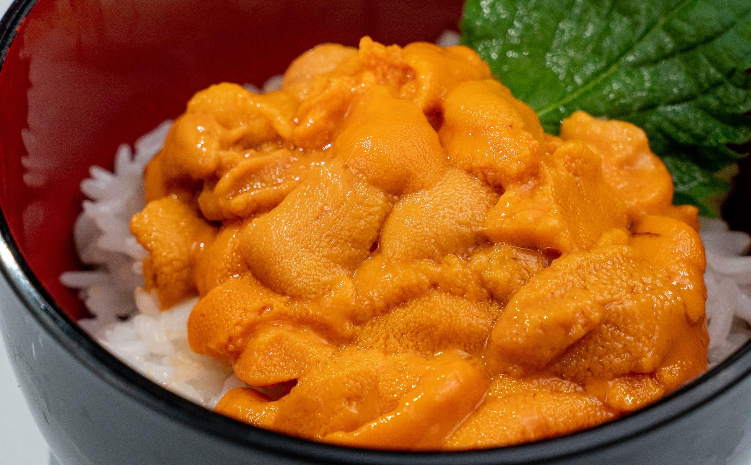 【ふるさと納税】うに 醤油 100g 2本 北海道産 生 蝦夷 バフンウニ 使用 濃厚 雲丹醤油 しょうゆ