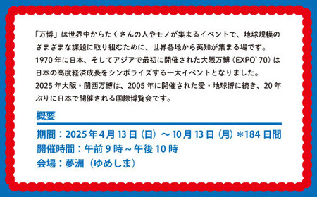 【70-05】2025年 大阪・関西万博入場チケット 一日券（中人）
