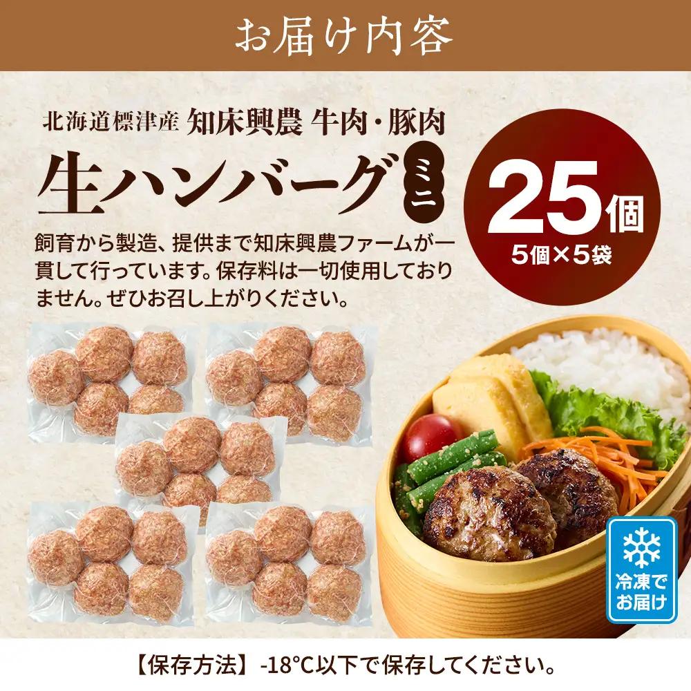 生ハンバーグミニ 25個セット(5個×5パック)冷凍でお届け 国産 牛肉 豚肉 ギフトにもおすすめ【配送不可地域：離島】【AC011】