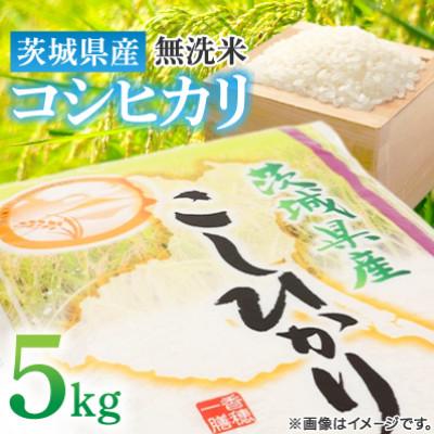 ふるさと納税 土浦市 【令和7年産 新米】 茨城県産 コシヒカリ 無洗米 5kg おいしい お米