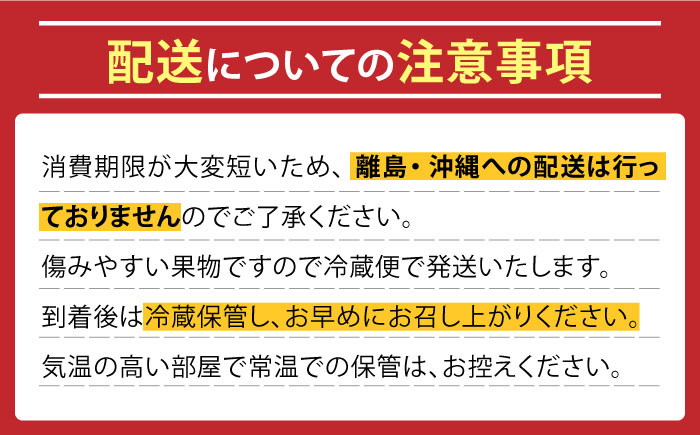 【2024年6月〜発送】どちらが届くかはお楽しみ！温室桃 約1kg / 日川白鳳 or ももか / 桃 もも フルーツ 果物 / 南島原市 / 川田農園 [SAP002]