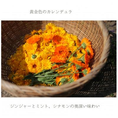ふるさと納税 佐久穂町 lehti ハーブティー黄金色の約束_20包入 |  | 01