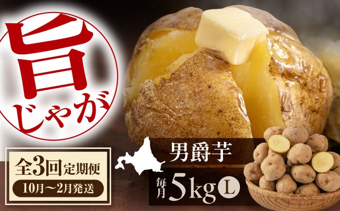 
            【全3回定期便】　【先行予約】 じゃがいも 男爵芋 5kg　《喜茂別町》【Aコープようてい】 じゃがいも いも 芋 ジャガイモ イモ 野菜 男爵 北海道 ポテト 国産 産地直送 旬 お取り寄せ 常温 [AJAK031]
          