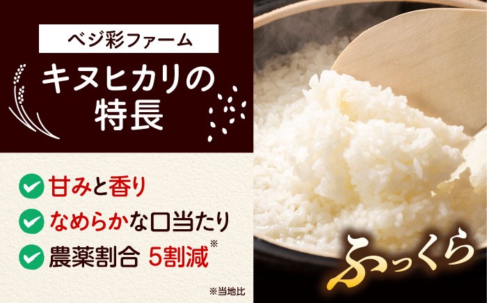 米 令和7年産 新米 キヌヒカリ きぬひかり お米 白米 コメ おこめ 10kg 5kg 人気 おすすめ 産地直送 国産 新鮮