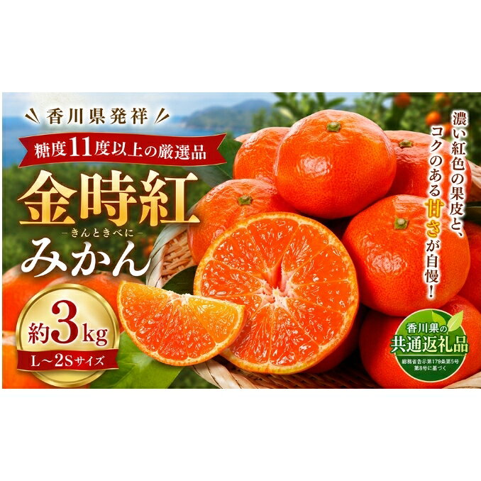 【ふるさと納税】みかん 金時紅 約3kg L～2S 金時紅みかん 糖度11度以上 国産 高糖度 小原紅早生 小原紅早生みかん 早生みかん 紅みかん 紅色 香川県発祥 香川県オリジナル品種 柑橘 かんきつ 果物 冬の果物 越冬さぬき紅みかん 越冬みかん さぬき紅 香川県 土庄町