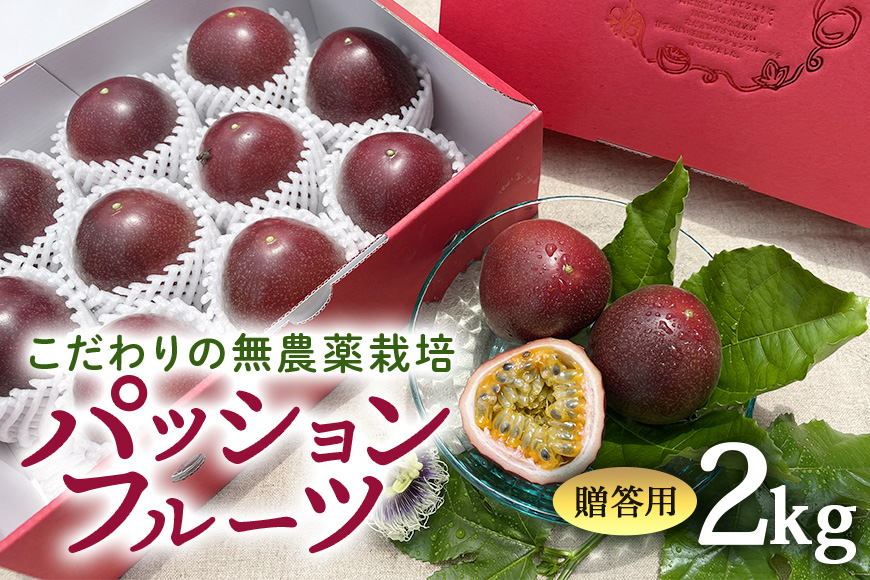 【2026年発送】こだわりの無農薬栽培パッションフルーツ2kg ＜贈答用＞ 8-4