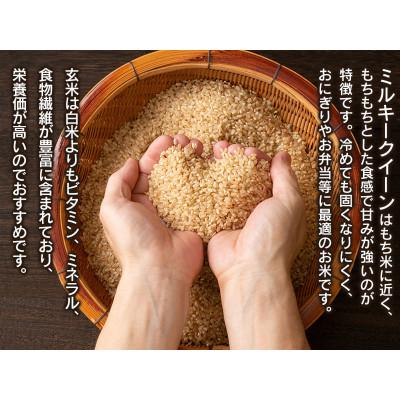 ふるさと納税 鶴岡市 数量限定【令和6年産】山形県庄内産 小池半左衛門のお米 ミルキークイーン【玄米】 5kg |  | 01