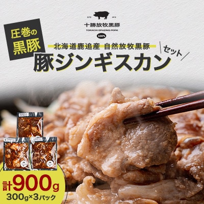 【毎月定期便】北海道鹿追産 自然放牧 圧巻の黒豚 豚ジンギスカンのセット 900g全10回【配送不可地域：離島】【4087324】