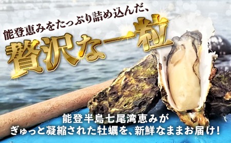 【能登半島地震復興支援】【発送時期が選べる】魚介類 牡蠣／能登かき 殻付牡蠣 一斗缶/約10kg（約80～100個） 専用ナイフ 片手用軍手付 | 牡蠣 ※要加熱 ※2027年1月下旬～5月下旬頃に順