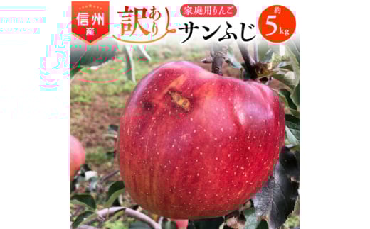 2025年!信州のりんご＜サンふじ＞訳あり　約5kg　家庭用【1136049】