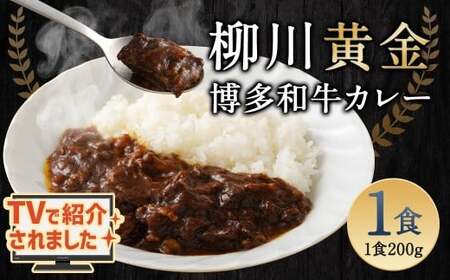 【TVで話題】柳川黄金博多和牛カレー （1箱） カレー レトルト