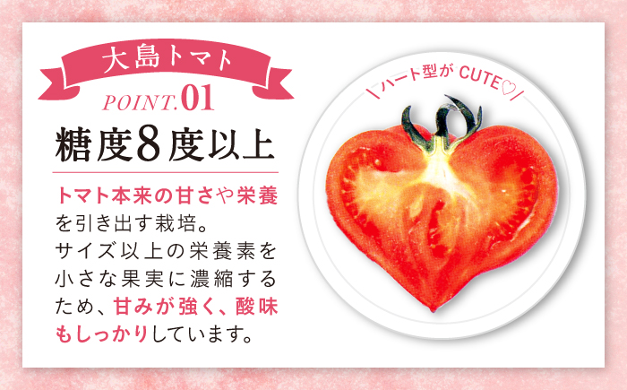 トマト 高糖度 【 訳あり 】 糖度8度以上！ 大島 トマト 約1.8kg  西海市産 トマト とまと 野菜 新鮮 旬  ＜大島造船所 農産グループ＞ [CCK007]