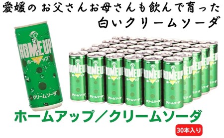 クリームソーダ らくれん ホームアップ クリームソーダ【30本】