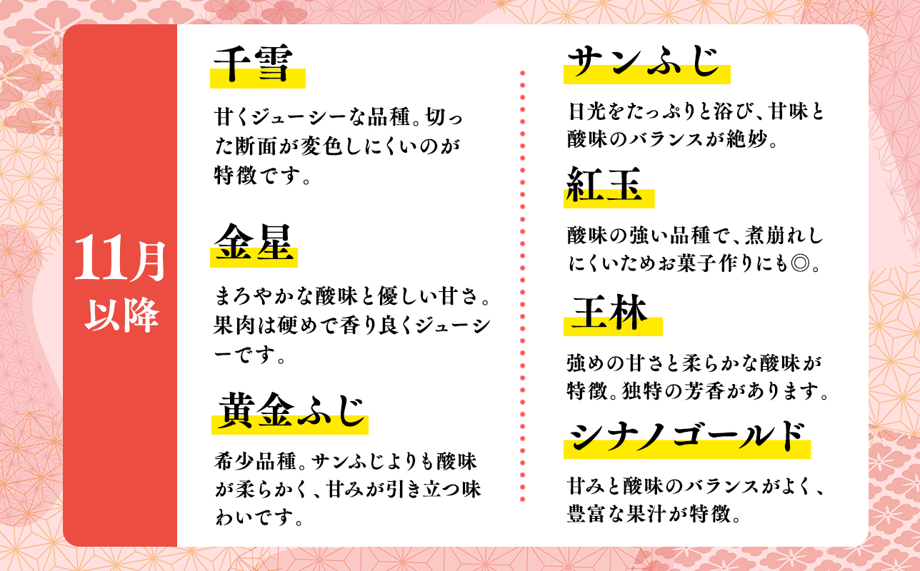 4月発送 【訳あり】旬のりんご詰め合わせ10㎏【りんご・青森・平川・訳あり・家庭用・宮川商店・11月・12月・1月・2月・3月・4月】