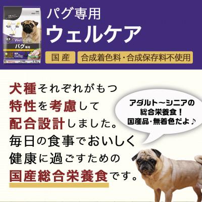 ふるさと納税 都城市 ドッグフード(パグ専用)アダルト〜シニア5.5kg |  | 01