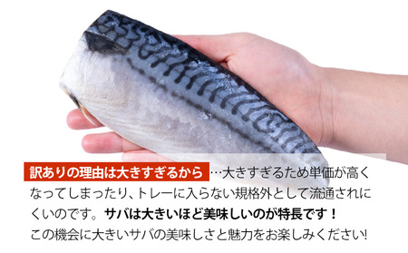 【訳あり】勝浦市の人気の海鮮お礼品 無添加 塩サバ 3kg【配送不可地域：離島】【1240161】