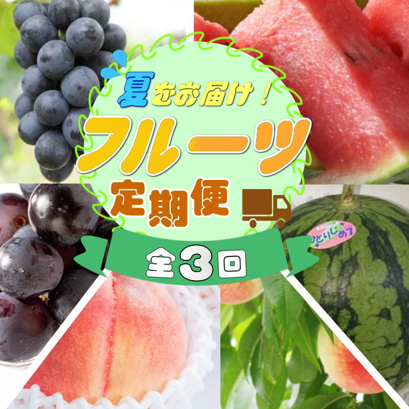 【ふるさと納税】 定期便全3回　和歌山の人気の夏のフルーツをお届け！ | フルーツ 果物 くだもの 食品 人気 おすすめ 送料無料 お楽しみ