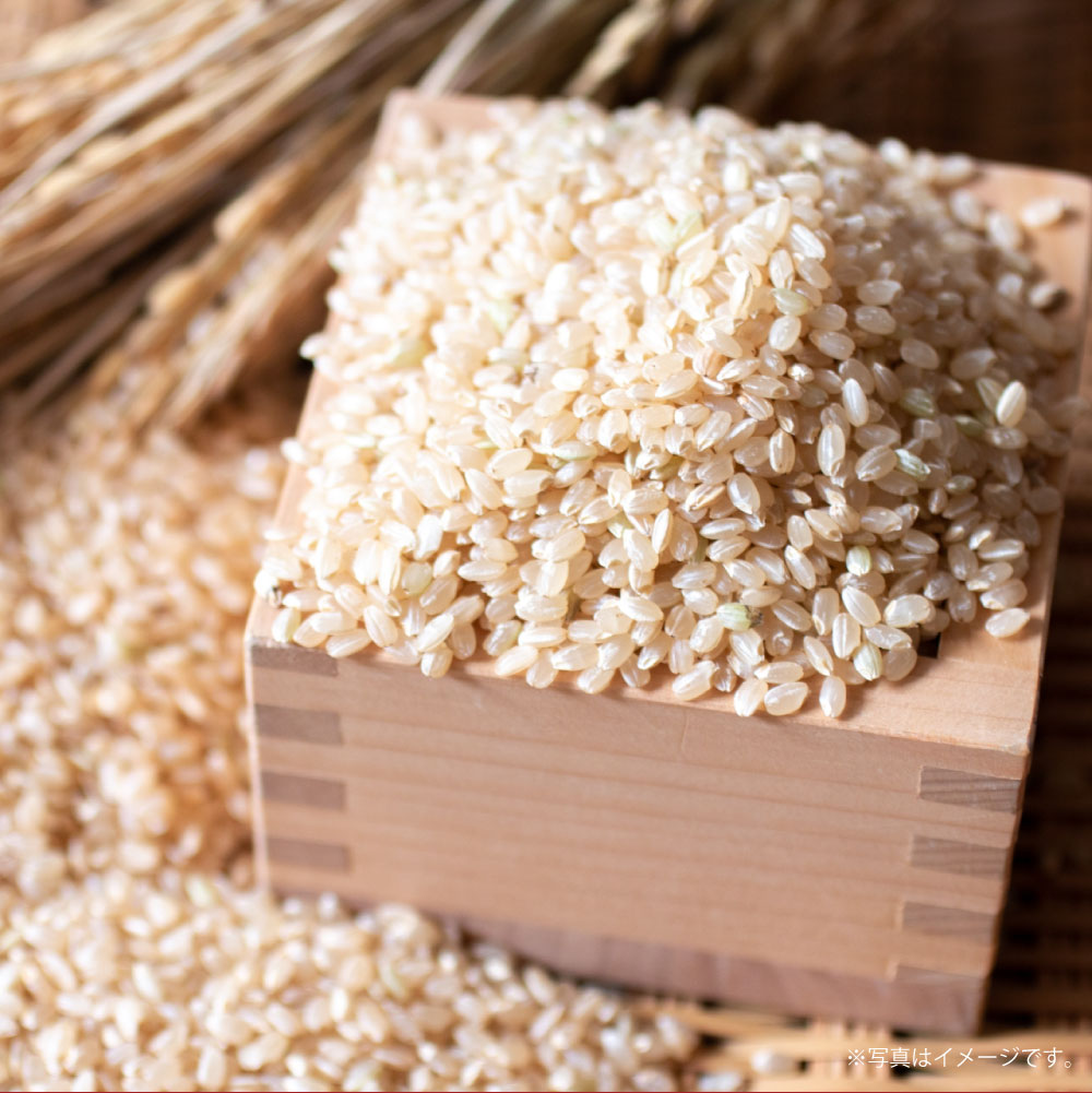 【ふるさと納税】【令和7年産】 ゆめぴりか（玄米）（選べる 10kg（5kg×2袋） / 20kg （5kg×4袋）） 北海道 鷹栖町 たかすタロファーム 米 コメ こめ ご飯 玄米 お米 ゆめぴりか コメ 送料無料