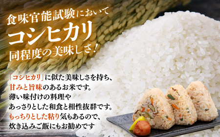 【新米】令和7年産 米 定期便3ヶ月 あきさかり 精米 5kg × 3回（計15kg）福井県産【白米 5キロ 15キロ アキサカリ お米 ごはん 人気品種 産地直送 新生活 kome】 [e66-d0