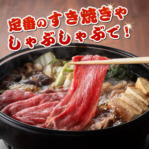 【令和7年11月発送】宮崎牛赤身霜降りすきしゃぶ2種800g 【 肉 牛肉 スライス すき焼き しゃぶしゃぶ 】 [E11123r711] 【令和7年11月発送】