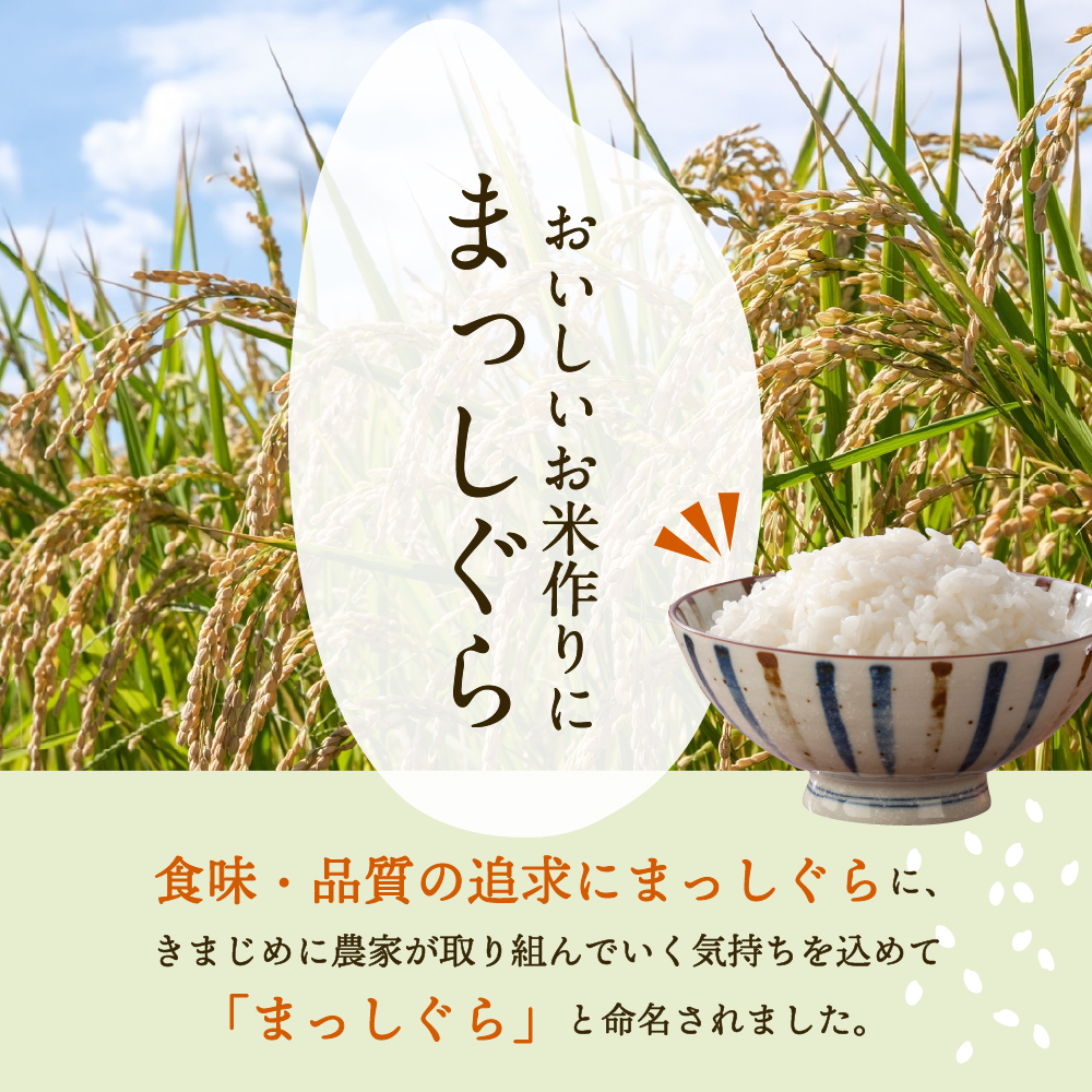 【4月発送】無洗米 10kg 青森県産 まっしぐら 令和7年産米（精米） 米 コメ 青森県 五所川原市