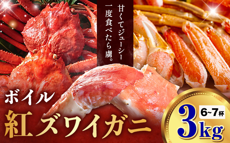 【ふるさと納税】カニ 紅ズワイガニ 3kg(6杯 〜 7 杯) 《9月上旬-5月末頃出荷》 SOO合同会社 鳥取県 八頭町 送料無料  蟹 かに 姿 鍋 ズワイガニ  ズワイ蟹 ボイル ベニズワイ ベニズワイガニ