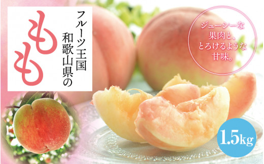 【数量限定】【和歌山ブランド】【厳選】和歌山のこだわり桃　約1.5kg（５～６玉）【ard057C】
