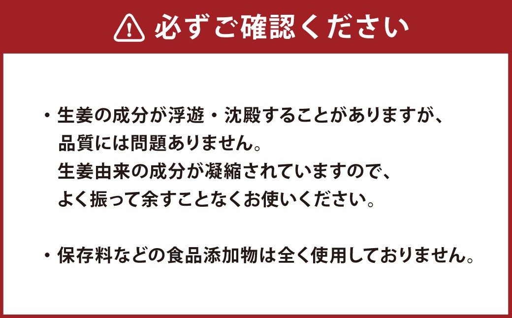 【3ヵ月定期便】Craft GingerS 200ml×2 無添加 国産 大人辛い ジンジャーシロップ