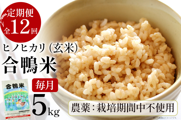 合鴨米「ヒノヒカリ」（玄米・5ｋｇ）定期便12回コース　BI