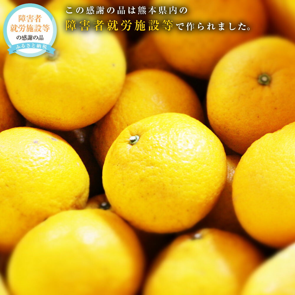 【ふるさと納税】甘夏みかん 約10kg 1個あたり約300～350g 約25個～30個入り 甘夏 あまなつ ミカン 蜜柑 柑橘 フルーツ 果実 国産 熊本県 送料無料 【2026年2月上旬発送開始】