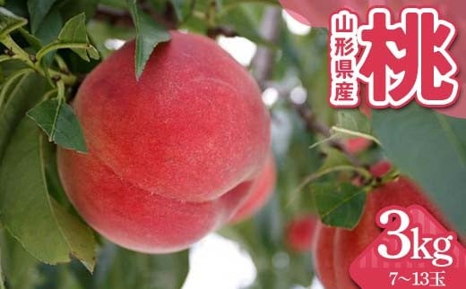 
            山形県産 桃 3kg（7～13玉） FSY-2298
          