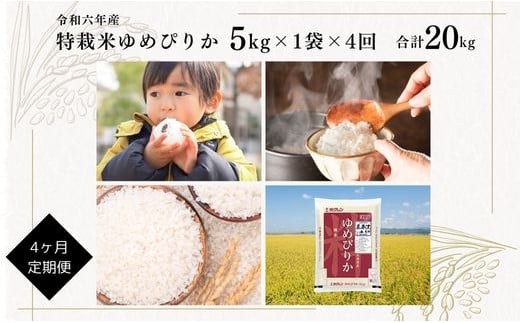 【定期便】【令和6年産】北海道産『特別栽培米 ゆめぴりか 5kg×4ヶ月』日経トレンディ米のヒット甲子園 大賞受賞 毎月1回・計4回お届け 計20kg 定期便 単一原料米 特栽米 米 お米 白米 精米 こめ おこめ ごはん ご飯 送料無料 北海道 奈井江町