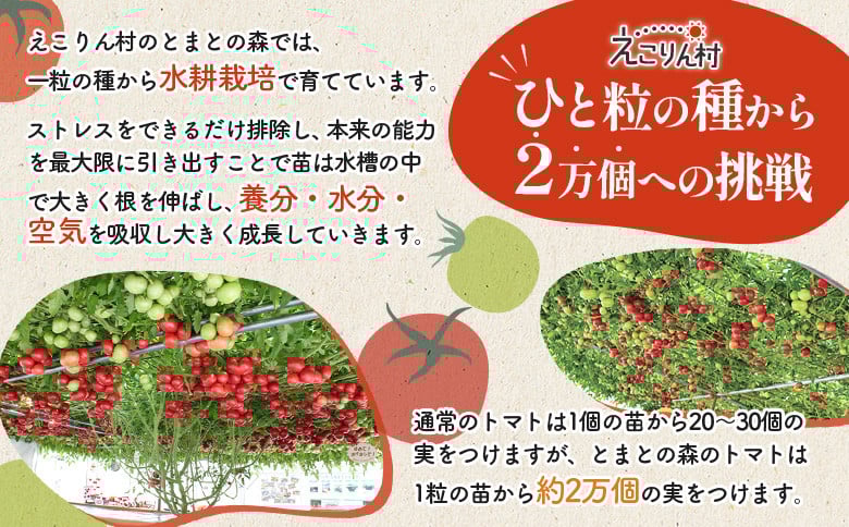 えこりん村トマト使用のポテトチップス60g×2袋