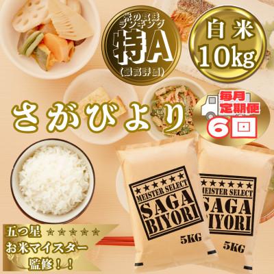 ふるさと納税 大町町 【毎月定期便】『さがびより』白米10kg(5kg×2袋)(大町町)全6回