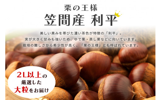 笠間の生栗 （約2kg） 低温熟成 利平 2L以上 日本一 栗生産量 茨城県 栗 くり 生栗 熟成栗 大きい 大粒 茨城 国産 国産栗 和栗 甘栗 栗ご飯 栗きんとん 栗おこわ 甘露煮 マロン 秋 旬