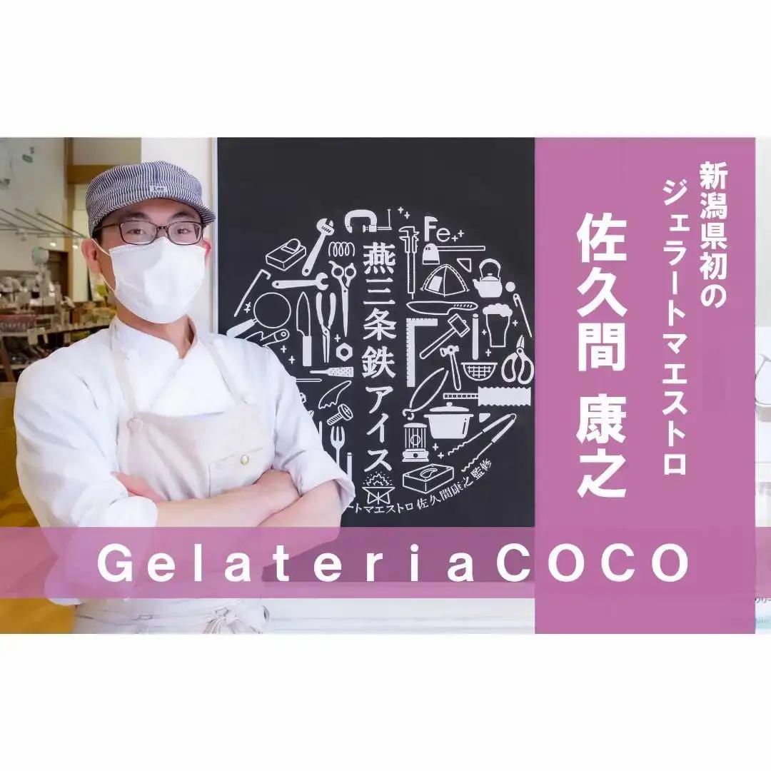 ジェラートマエストロが作るファミリーセット 1L×2 合計2L[なんかんミルク・ピスタチオ] ジェラート アイス 大容量 ファミリーパック 添加物不使用 [Gelateria coco]【017S08
