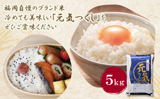【新米】令和7年産 研ぐお米 元気つくし5kg  米 コメ 5kg 箱入り  5キロ 福岡 元気つくし 元気づくし 手軽 リピート 日時指定 ギフト お中元 お歳暮 コスパ 福岡県限定銘柄 人気上昇中