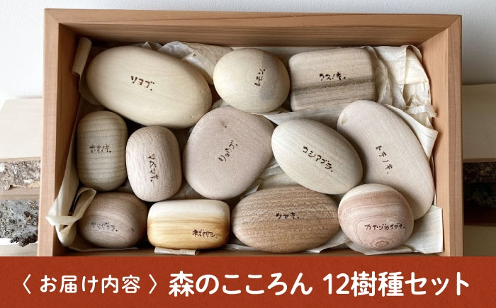 木製 おもちゃ 積み木 オモチャ 知育 つみき 玩具 ままごと 子供 幼児 贈答