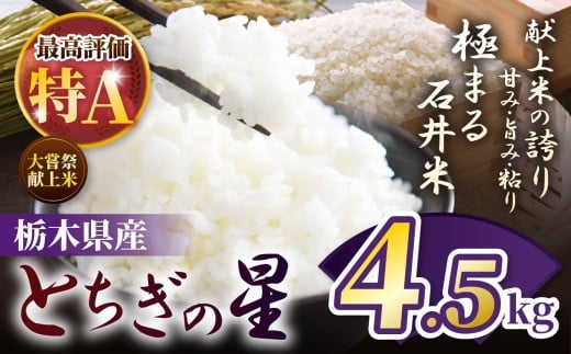 令和7年度 石井米（とちぎの星） 4.5kg | ふるさと納税 とちぎの星 那珂川町産 美味しい お弁当 おにぎり おいしい 数量限定 ご飯 送料無料 栃木県 那珂川町