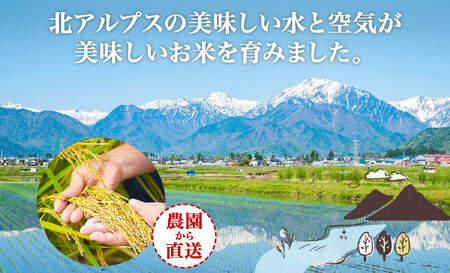 ＜先行予約＞令和7年産 つきあかり 白米 10kg×1袋 長野県産 米 精米 お米 ごはん ライス 甘み 農家直送 産直 信州 人気 ギフト お取り寄せ 平林農園 送料無料 長野県 大町市
