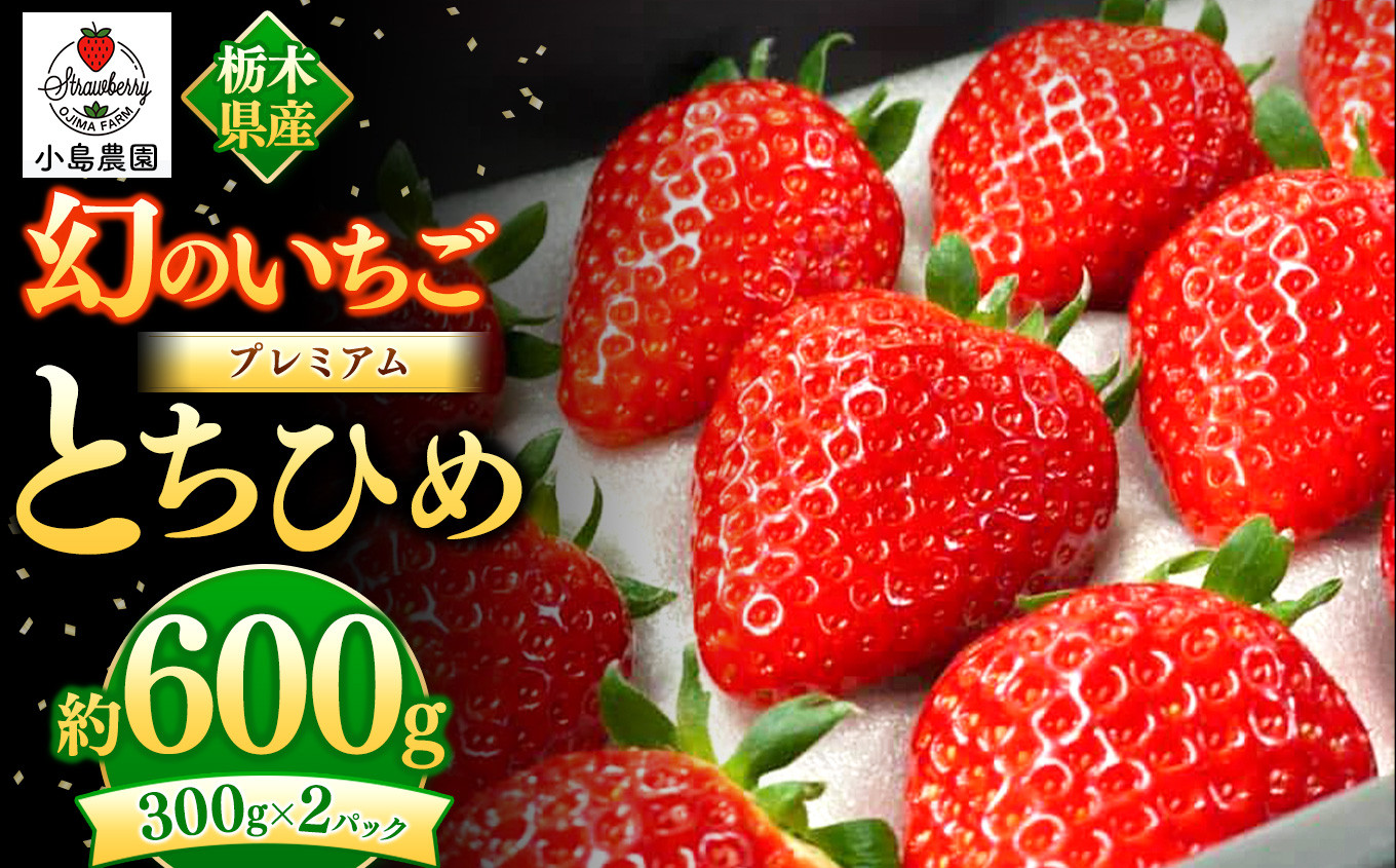 
いちご 幻のイチゴ とちひめ 600g | 栃木県 数量限定 希少品種 栃木県 いちご日本一のまち 真岡市
