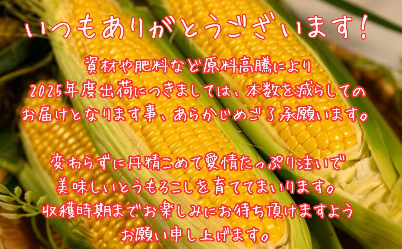 北海道産 とうもろこし 恵味 ゴールド 2L 18本 8月中旬～9月末頃お届け 朝採り めぐみ トウモロコシ コーン スイートコーン 甘い 新鮮 先行受付 夏 野菜 産地直送 送料無料 塩田農園 北海