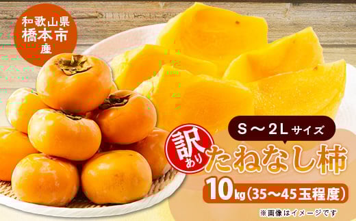 
            柳フルーツ園の訳ありたねなし柿　10kg【1077826】
          