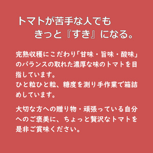 出雲の加田屋 糖度７以上トマト 800ｇと希トマトジュース2本入りセット【1_1-050】