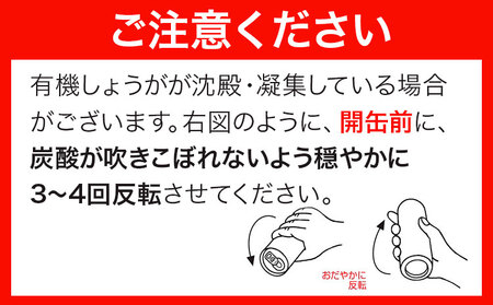 【3ヶ月隔月定期便】 ジンジャーエール 光食品