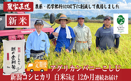 J8-7MC05Z【12ヶ月連続お届け】新潟県長岡産コシヒカリ無洗米5kg【「小さな生き物たちと育むお米」認証品】