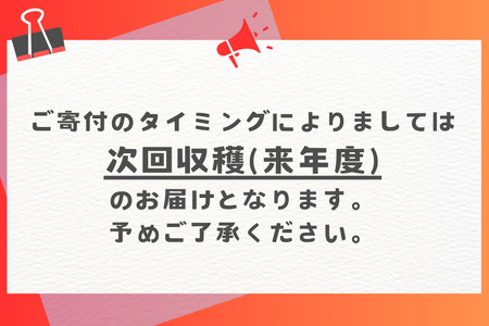 【定期便全6回】沖縄フルーツ定期便 6回 パッションフルーツ スナックパイン マンゴー キーツマンゴー ドラゴンフルーツ 沖縄バナナ